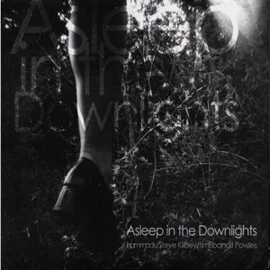 Asleep in the downlights